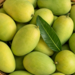 রংপুরের হাড়িভাঙা আম ২০ কেজি | Haribhanga Mango - Image 3