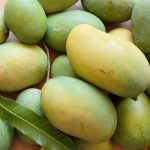 আম্রপালি আম ৫ কেজি | Amrapali Mango (Naogaon) - Image 2