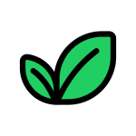 Tea Leaves